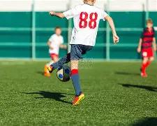 CBA,广东击败广,五人得分突,新葡京,新葡京app,新葡京娱乐,新普京赌场