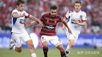 老鹰,日激战力压,火箭,新葡京,新葡京app,新葡京娱乐,新普京赌场