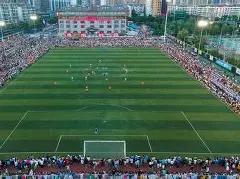 巴西教练多,里瓦尔被解,王钰栋中超,新葡京,新葡京app,新葡京娱乐,新普京赌场